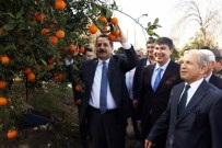 BAKIR MADENİ - Bakan Çelik'ten ET Fiyatları Ve Cerattepe Açıklaması