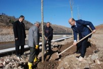 BEŞPıNAR - Beşpınar Farklı Ağaç Türleriyle Yeşillendiriliyor