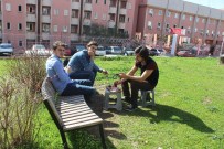 Ege Kış Ortasında Yaz Mevsimine Girdi