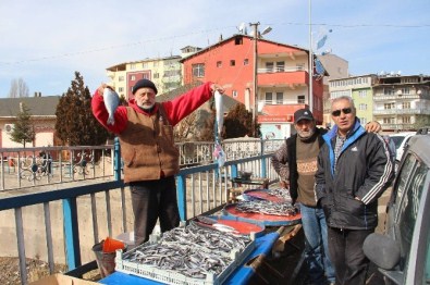 Hamsi Fakir Balığı Oldu