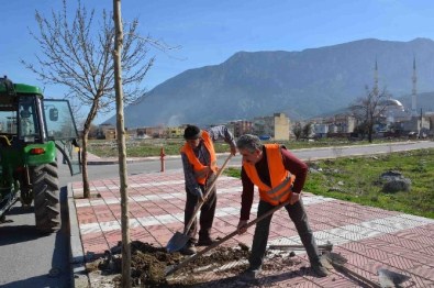 Şehzadeler Belediyesi'nden Ağaçlandırma Seferberliği