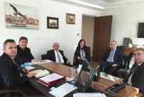 SAĞLIK SERBEST BÖLGESİ - Yalova'da Sağlık Serbest Bölgesi Çalışmaları Sürüyor