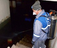 KARGıCAK - Alanya'da Bodrum Katlara Sinek Uyarısı