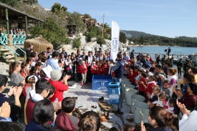 Bodrum'da Deniz Dibi Temizliğine Yoğun İlgi