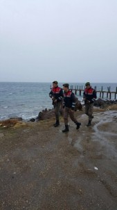 Çanakkale'de 518 kaçak göçmen yakalandı