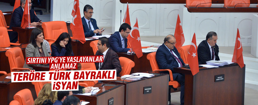 MHP'li vekiller Meclis'e bayraklarla geldi