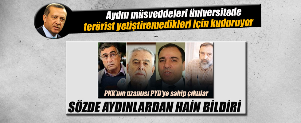 Erdoğan'dan YPG'yi destekleyen sözde aydınlara sert tepki