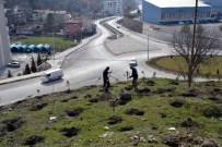 Karabük Belediyesinden Fidan Dikimi