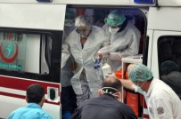 Zonguldak'ta Domuz Gribi Şüphesi