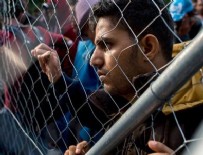 Avusturya'da sığınmacı kampına saldırı