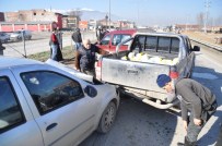 Köpek Zincirleme Kazaya Neden Oldu