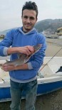 KÖPEK BALIĞI - Oltaya Köpek Balığı Takıldı