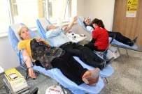 BERNA ÖZTÜRK - Denizli'de Bir Günde 278 Ünite Kan Bağışı Yapıldı