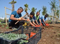 EXPO Alanının Zemini 1,5 Milyon Çiçekle Örtülecek