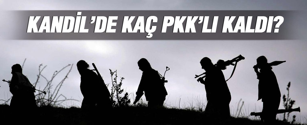 Kandil'de kaç terörist kaldı?
