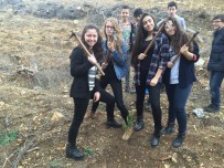 ZAKKUM - Liseli Öğrenciler Baharı Fidan Dikerek Karşıladı