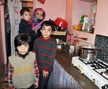 TEK İsteği Bir İşinin Olması