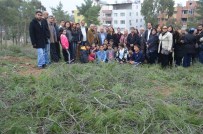 KARAOĞLAN - Kırıkhan'da Ağaç Kesimini Vatandaşlar Engelledi