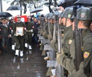 TABUR KOMUTANLIĞI - Ordu Şehidini Gözyaşlarıyla Uğurladı