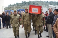 TAHSIN KURTBEYOĞLU - Şehidin Naaşı Memleketi Söke'ye Geldi