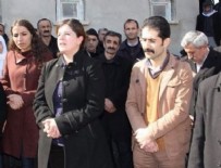 Altan Tan'dan HDP'yi kızdıracak sözler
