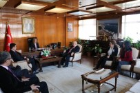 VERGİ HAFTASI - Sinop'ta Vergi Haftası Kutlamaları