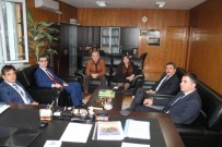 BÜNYAMİN YILDIZ - Turhal'da Tarımın Geliştirilmesi Çalışmaları