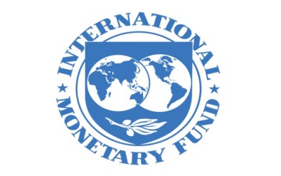 Türkiye'nin IMF Nezdindeki Oy Gücü Arttı