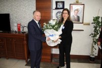 VERGİ HAFTASI - Vergi Haftası Nedeniyle Defterdar Ercoşman, Vali Ceylan'ı Ziyaret Etti