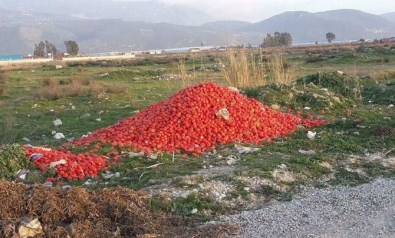 CHP Antalya Milletvekili Devrim Kök Açıklaması 'Antalya'da Domates Tarlada 70 Kuruş, Tezgahta 5 Lira'