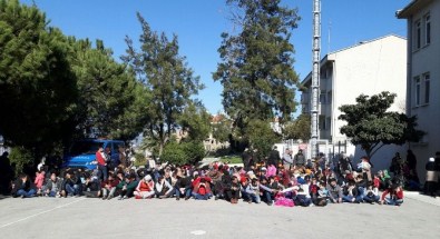İzmir'de 592 Sığınmacı Yakalandı, 17 Organizatör Gözaltında