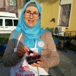 Kadın Cinayetine 5 Yıl 8 Ay Hapis Cezası