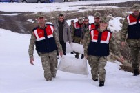 KONAKLı - Mehmetçik Yabani Hayvanlara Yem Bıraktı