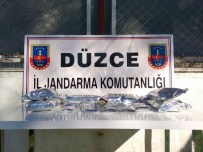 UYUŞTURUCU OPERASYONU - Düzce'de Jandarmadan Uyuşturucu Baskını
