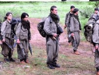 'Kandırıldık teslim oluyoruz' diyen 30 PKK'lı...
