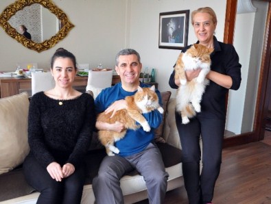 CHP'li Başkanın Vazgeçilmezleri Açıklaması Ailesi, Partisi Ve Kedileri