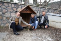 TURGUTALP - Sokak Hayvanları, Büyükşehirin Koruması Altında