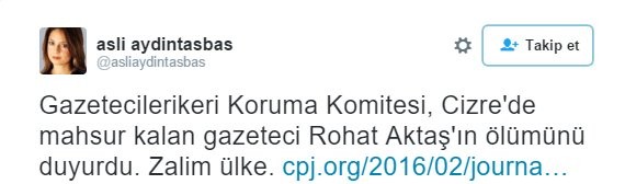 Aslı Aydıntaşbaş'tan tepki çeken tweet