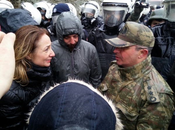 Onlar ağaç da bunlar değil mi?