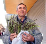 Kedirgen Tezgahlardaki Yerini Aldı