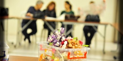 Kozadan Çiçeğe Bir Sanat Yolculuğu