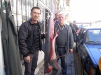 KÖPEK BALIĞI - Ortaca'da Amatör Balıkçının Oltasına Köpek Balığı Takıldı