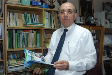 Türkiye'deki Ormanların Ekonomik Değeri Araştırıldı