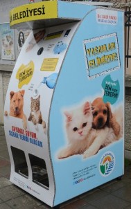 Tuzla'da Sokak Hayvanları 'Mama Otomatı' İle Besleniyor