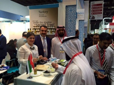 Zeytin Ve Zeytinyağı Dünyaya Ulaşacak