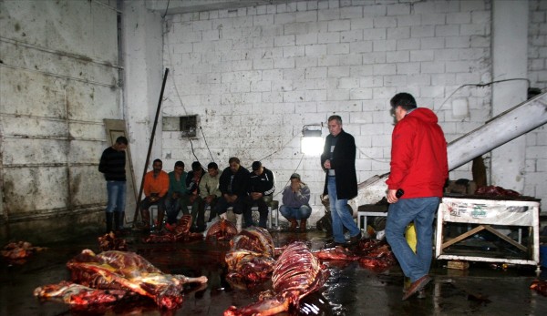 14 at kesilmiş halde bulundu