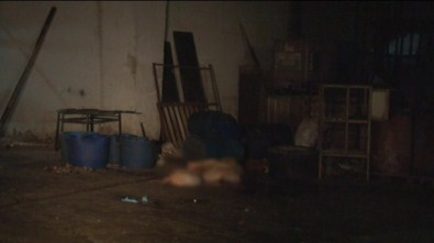 14 at kesilmiş halde bulundu