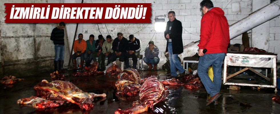 14 at kesilmiş halde bulundu