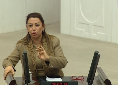 Çalık, TBMM'de Ağbaba'nın Konuşmasına Cevap Verdi