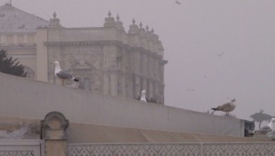 İstanbul'da Yoğun Sis